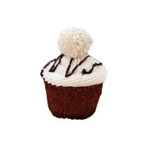 Chocolate Coconut Cupcake