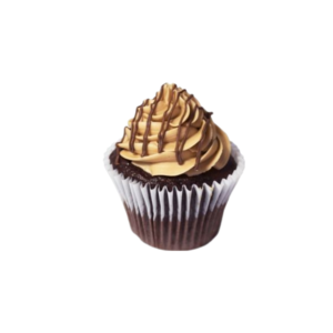 Chocolate Mocha Cupcake