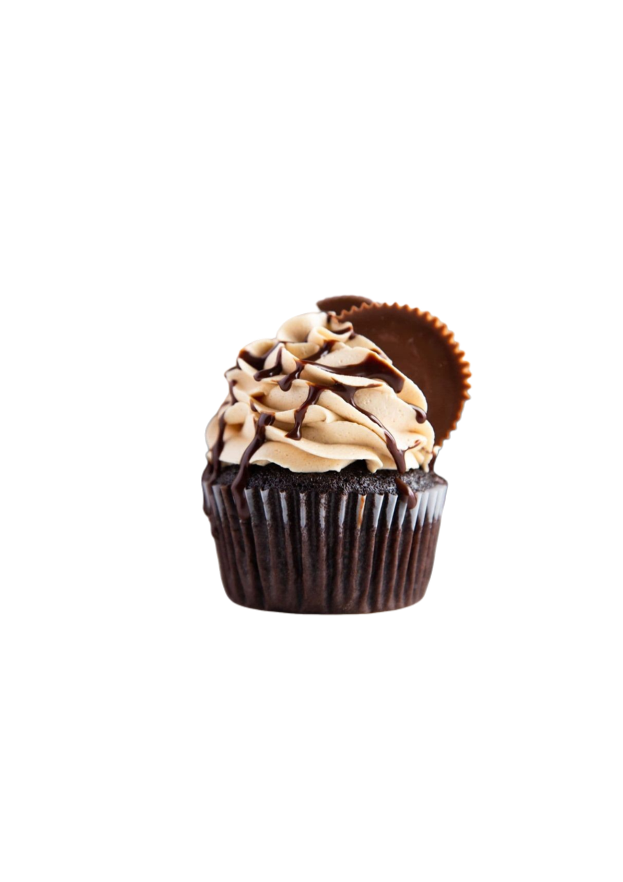 Chocolate Peanut Butter Cupcake