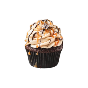 Chocolate Caramel Cupcake