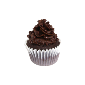 Double Chocolate Cupcake